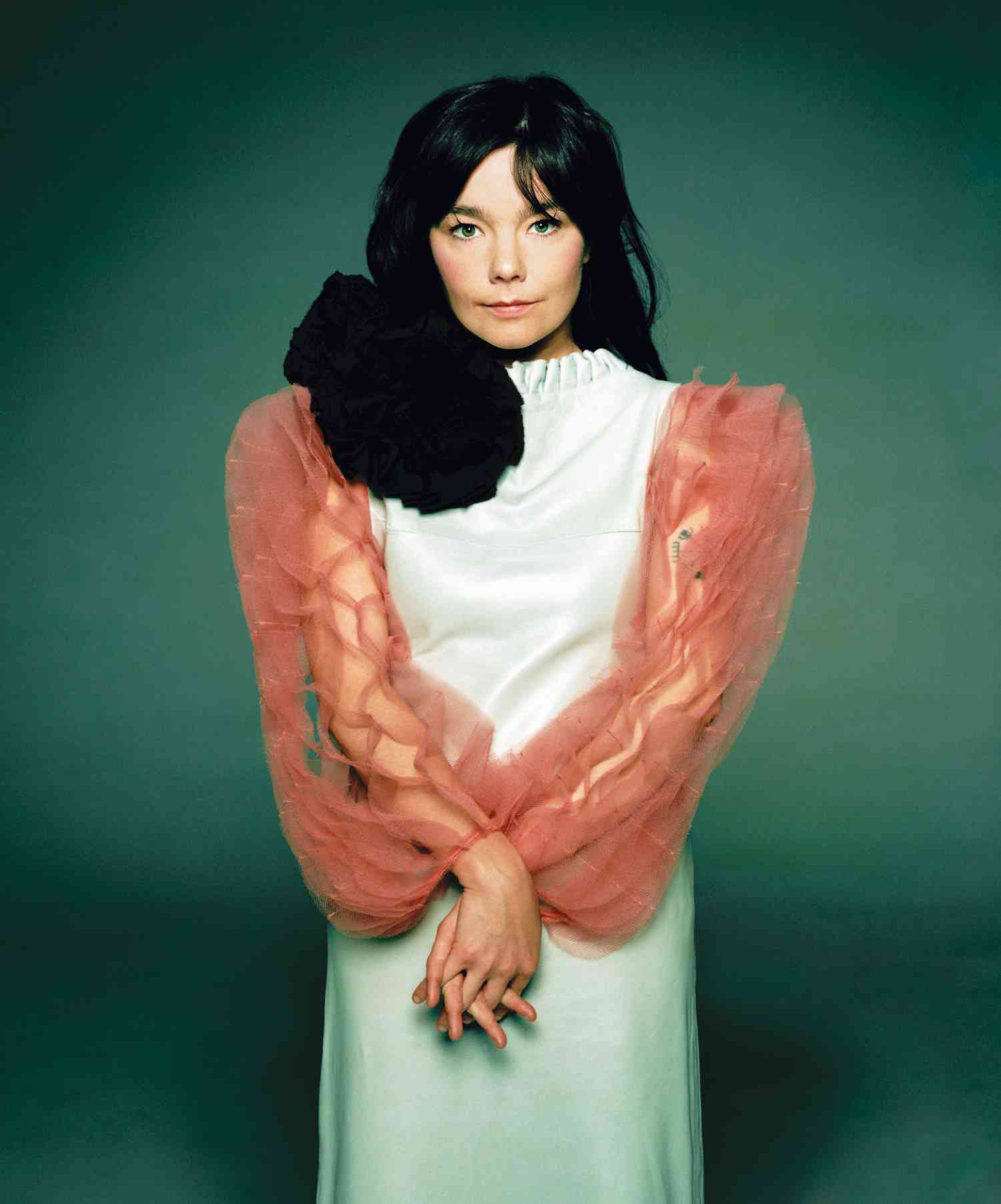 Iconic Image of bjork albums/songs cover by Warwick Saint