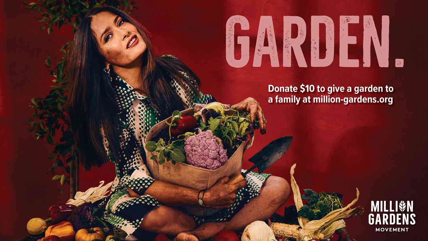 Warwick Saint renowned advertising photographer led worldwide Million Garden Movement campaigns.